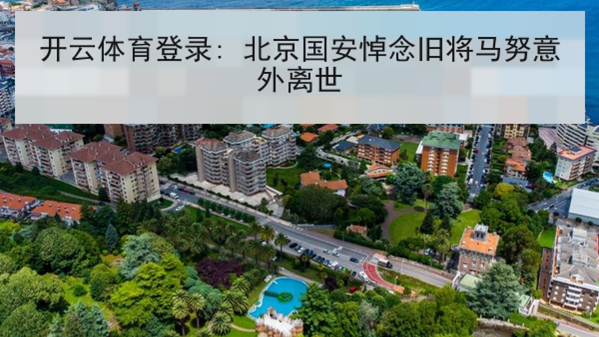 开云体育登录: 北京国安悼念旧将马努意外离世